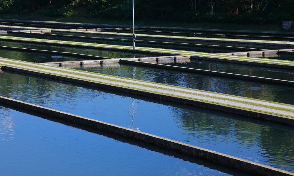 Tank Liners in Aquaculture: Solutions for Fish Farming