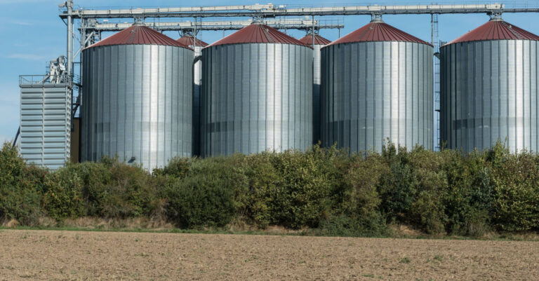 Four large tanks stand behind a line of trees and a crop field. Each tank is connected by a long series of pipes.